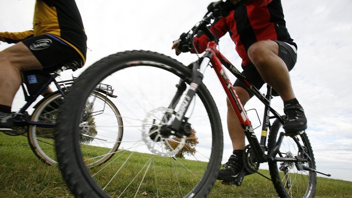 5 Tipps fürs Radfahren im Herbst